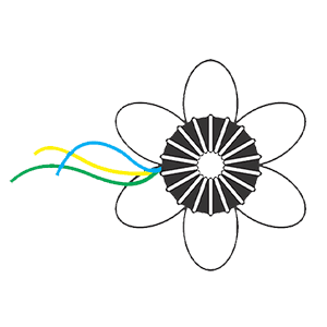 Logo Toroid
