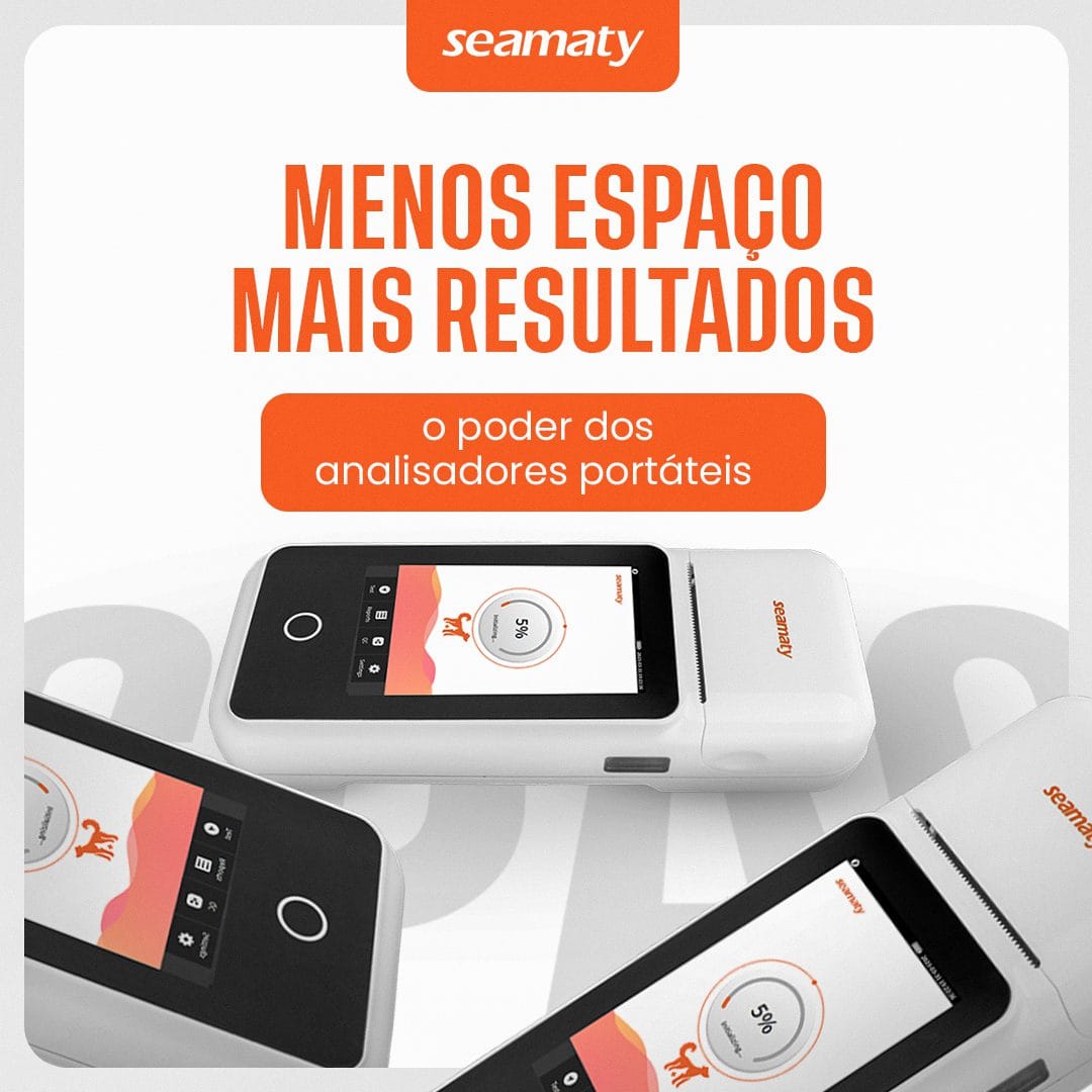 Seamaty Branding 3